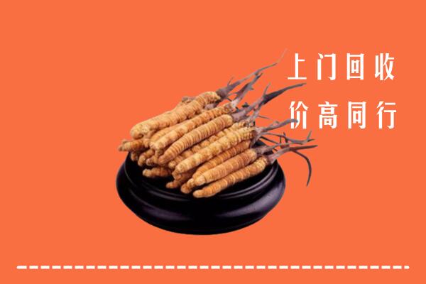 高价求购：梁园区回收散虫草