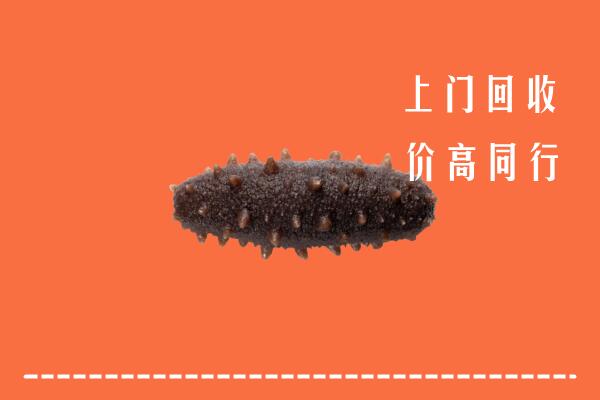 高价求购：梁园区回收海参