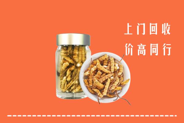 梁园区高价回收冬虫夏草